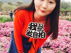 -丹樱生态园