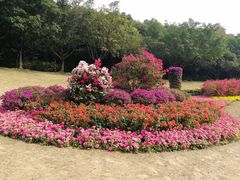 -广州雕塑公园