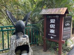 -西双版纳原始森林公园