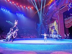 -珠海横琴长隆《卡卡虎奇遇记》