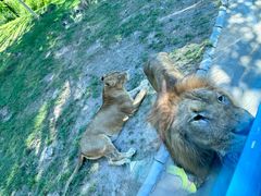 -北京野生动物园
