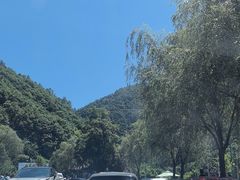 -牛背梁国家森林公园