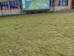 -朴小妹人参鸡汤火锅(长白山万达店)