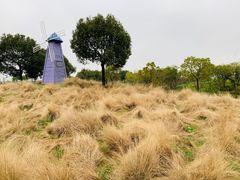 -上海杨姆庄园