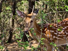 -大连冰峪旅游度假区