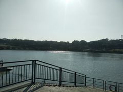 -东莞植物园
