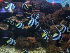 -蓬莱欧乐堡海洋极地世界