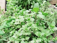 -艾加柒克蛋糕茶歇甜品台(春熙路店)