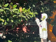 -中粮·祥云小镇