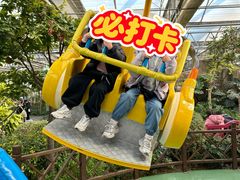 -南宫五洲植物乐园