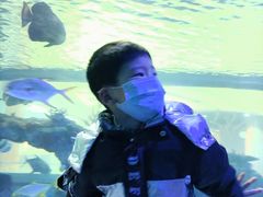 -常州海昌海洋探索馆