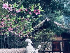 -常德桃花源景区