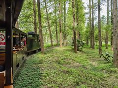 -黄海国家森林公园