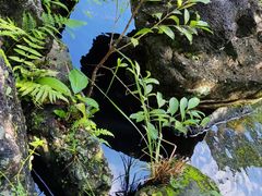 -海口火山口国家地质公园