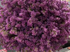 -迎悦轩(维景湾店)