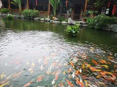 -大门水乡·顺德菜