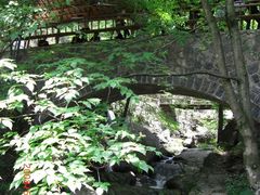 -藏龙百瀑风景区