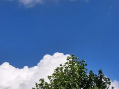 -苏州太湖国家湿地公园