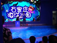 -石家庄海洋公园