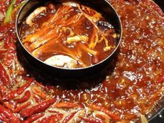 -蜀大侠火锅(东园路店)