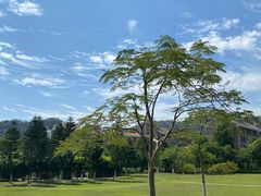-厦门国家会计学院