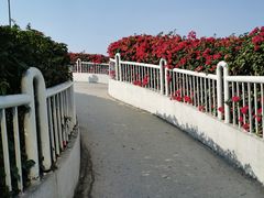 -广州白马服装市场