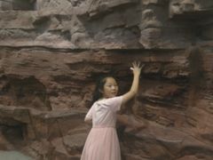 -辽宁古生物博物馆