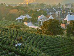 -帐篷客·溪龙茶谷度假酒店