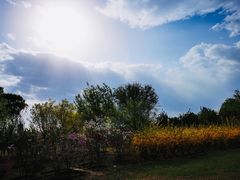 -永定河休闲森林公园