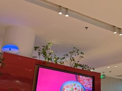 -老板恋上鱼(恒隆广场店)