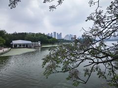 -月湖风景区