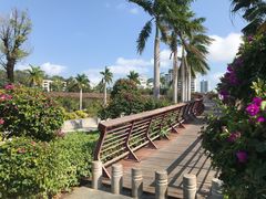 -金鸡岭桥头公园