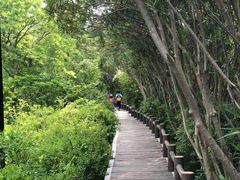 -新江湾城公园