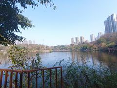 -重庆彩云湖湿地公园