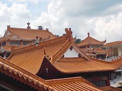 -深圳仙湖植物园
