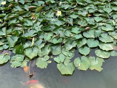 -泰安地下龙宫景区