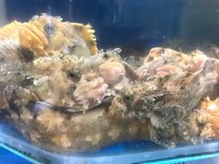-荣祥海鲜·烟台菜(胜利路二部)
