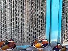 -水上乐园·欢乐世界