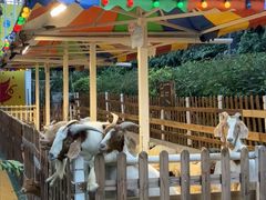 -广州长隆国际大马戏