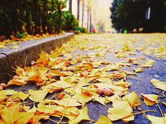 -苏州河梦清园环保主题公园