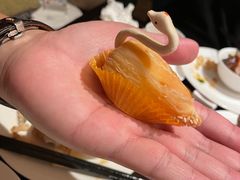 -京香轩·中餐厅(上海中庚聚龙酒店)