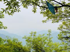 -沣峪森林公园龙潭戏水景区