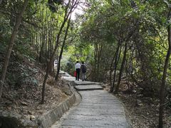 -银瓶嘴森林公园
