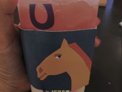 -春丽小马(济南恒隆广场店)