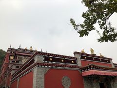 -塔尔寺游客服务中心