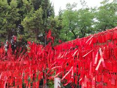 -烟台山景区