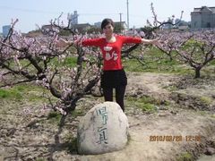 -南汇桃花村