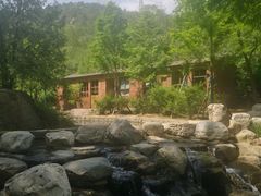 -白水寺森林公园