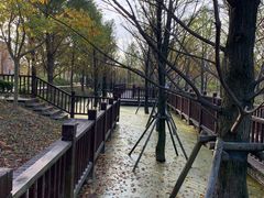-柳鹭田园区