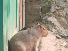 -成都欢乐谷